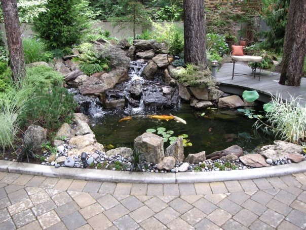 Featured image 2